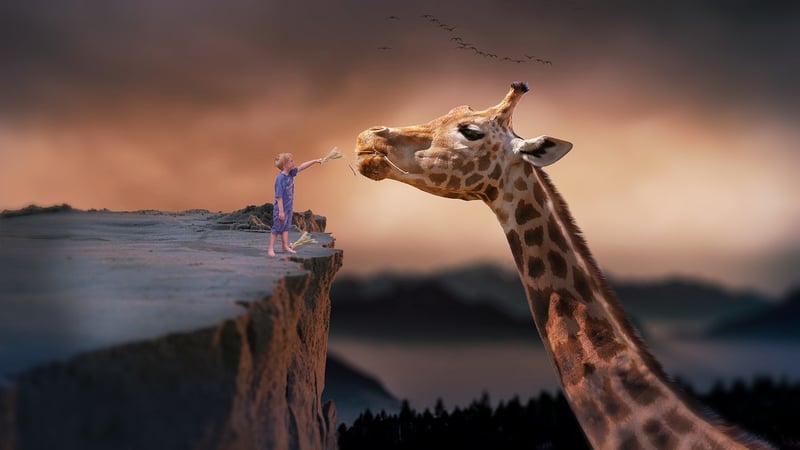 Dream Exploration Image